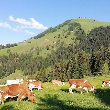 Bauernhof Bichlhof Appartement Söll