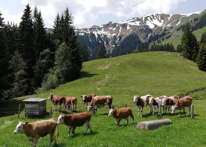Lägenhet Bauernhof Bichlhof Söll