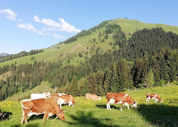 Bauernhof Bichlhof Lägenhet Söll