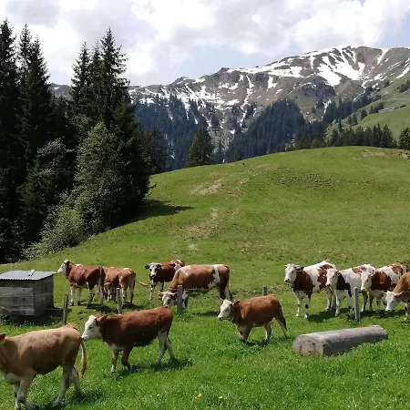 Apartamento Bauernhof Bichlhof Söll