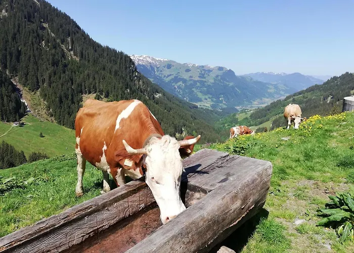 Apartamento Bauernhof Bichlhof